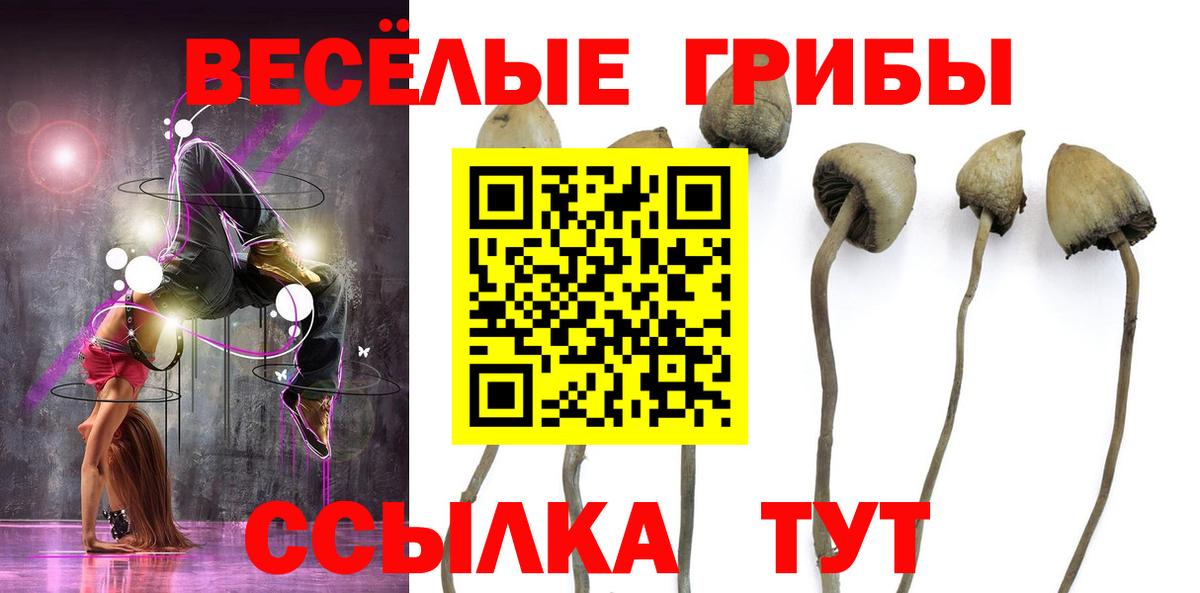Ульяновск  Псилоцибиновые грибы Cubensis  Псилоцибиновые грибы Magic Shrooms  Вход с VPN 