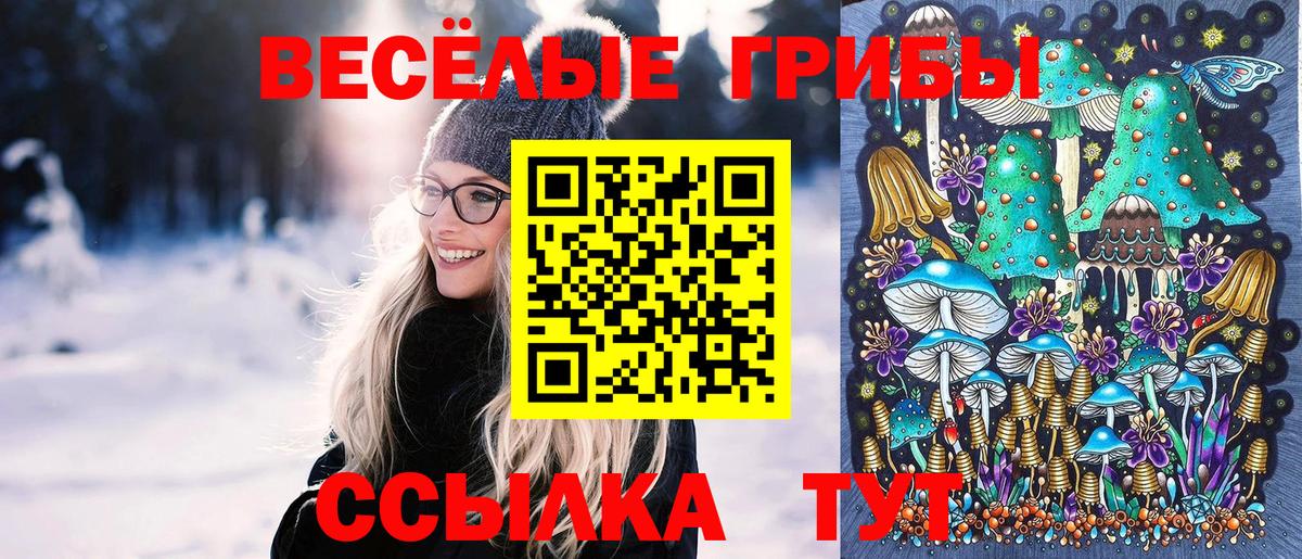 Галлюциногенные грибы прущие грибы Ульяновск
